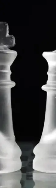 Holistic strategies and consulting for business continuity and growth.